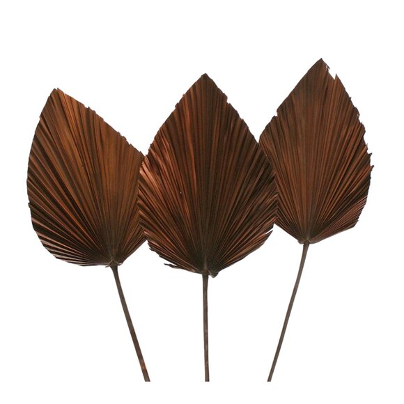 ANAHAW LEAF MED - Picture 4 of 9